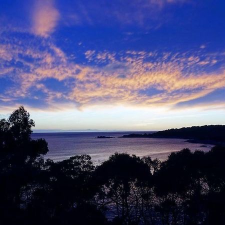 The Loft @ Bay Of Fires Seascape Apartment Binalong Bay Exterior photo